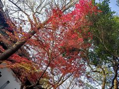 -西园戒幢律寺