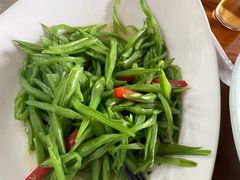-大金山酒店