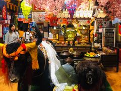 -吉祥圣雪藏餐
