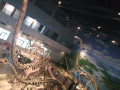 -自贡恐龙博物馆