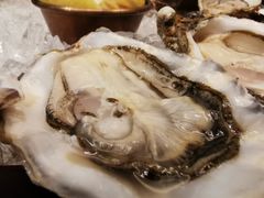 -酒池星座(深圳湾后海汇店)