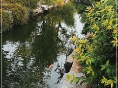 -三里河公园