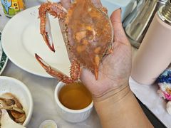 -宾朋海鲜特色美食餐厅·纯手工鲅鱼水饺(兴海路店)