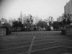 -野马渡文体中心游泳·健身