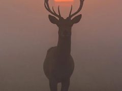 -新疆阿卜杜拉烧烤餐厅(四方坪店)