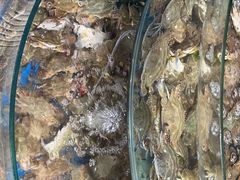 -蓝珊甄选海鲜自助·火锅大排档(近阿那亚店)