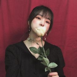 -碧莲盛·不剃发植发