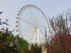 -石家庄市植物园