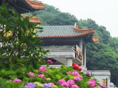 -临江·阅炉