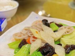 -九號渔港·蒸汽海鲜·粤菜茶点(八卦岭店)