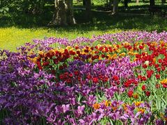 -国家植物园南园