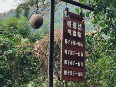 -呀诺达热带雨林