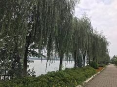 -艾溪湖湿地公园