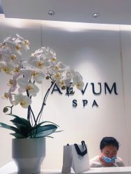 -奥斯芬·欧系贵族SPA