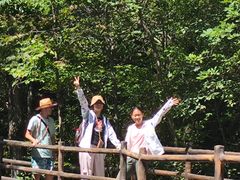 -茅兰沟国家森林公园