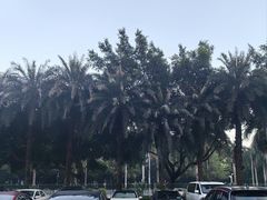 -南宁吴圩国际机场-T2航站楼