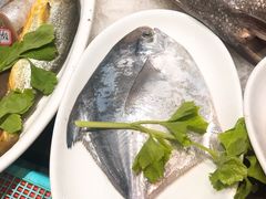 -开鑫鱼厂·宁波海鲜(前程智慧城店)