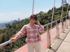 -金鸡山公园