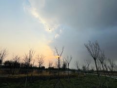 -天津东丽湖风景区