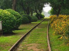 -永定河休闲森林公园