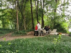 -桤木河湿地公园