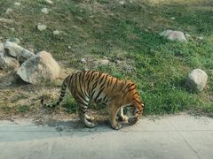 -西安秦岭野生动物园