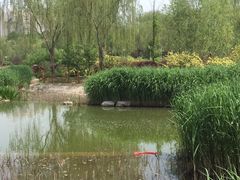 -燕郊植物园