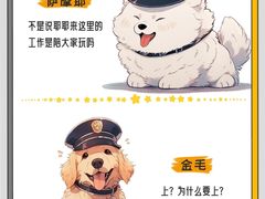 -北京京卫宠物寄养训练中心