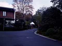 -杭州雅谷泉山庄酒店-餐厅