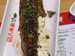 -八条友鲜货烧烤·脆皮烤鱼(石岩旗舰店)