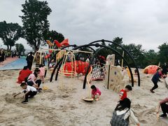 -铁山坪森林公园