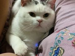 -美美宠物诊疗中心·异宠·骨科(滨江东信分院)
