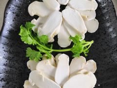 -蘑统田下·野生菌火锅