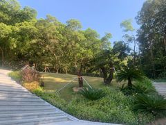 -梧桐山风景名胜区