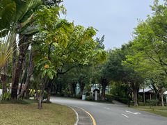 -深圳国际园林花卉博览园