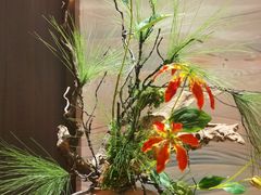 -晏遇江城·湖北烧菜王(武昌万象城店)