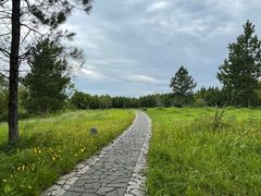 -苏州太湖国家湿地公园