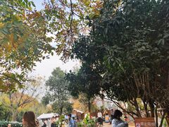 -HERRE·FARM 赫尔露营农场·团建聚会包场