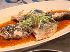 -曼格纳·曼芯馆(杨浦店)