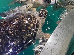 -正佳极地海洋世界