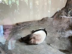 -宁波野生动物园