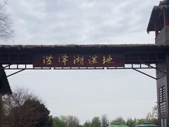 -泗洪洪泽湖湿地景区