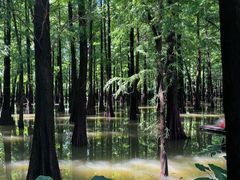 -星湖旅游景区七星岩