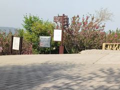 -北京西山国家森林公园