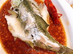 冰鲜海鲈鱼-T11生鲜超市(朝阳公园店)