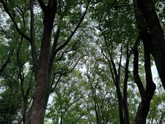 -苏州公园(双塔街道)