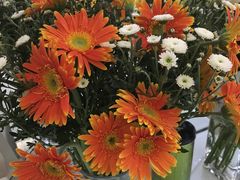 -白鹭湾湿地公园