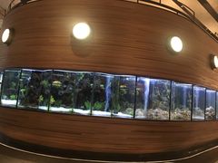 -人杰鱼乐轩(珠江路店)