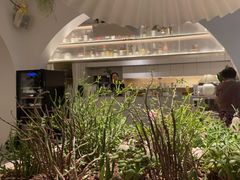 -春树下·树屋花房西餐厅(罍街AS1980店)