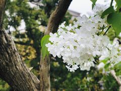 -团结湖公园